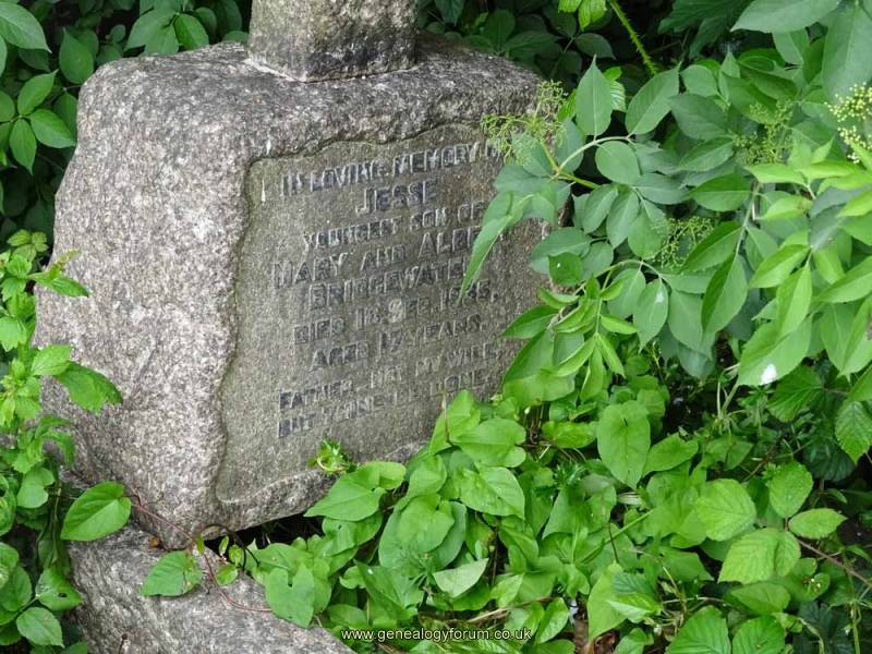 Bridgewater - Jesse (son of Albert? and Mary)
