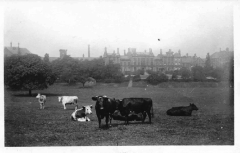 Birmingham - Mental Hospital early 1900's