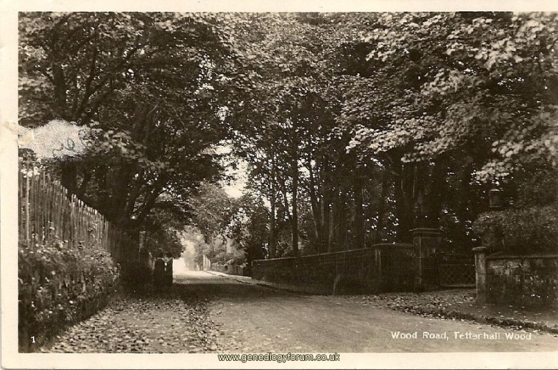 009d Tettenhall Wood - Wood Road