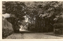 009d Tettenhall Wood - Wood Road