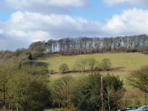 002a Clent Hill - The Horses Mane