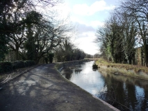 Halesowen - Dudley No 2 Canal (2010)
