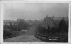 009c  Smethwick - Victoria Park, The Drive (franked 1910)