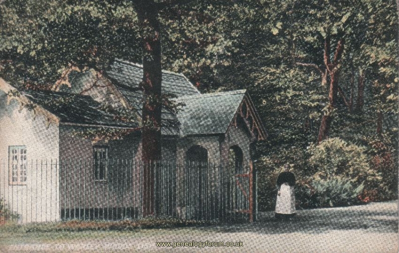 Warley Woods - Entrance (franked 1906)