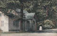 Warley Woods - Entrance (franked 1906)