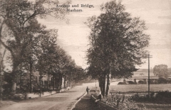 Masham - Avenue and Bridge