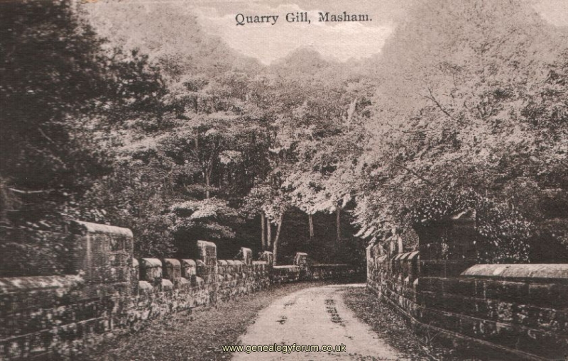 Masham - Quarry Gill