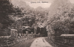 Masham - Quarry Gill