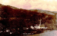 Clent - 'Vine Inn' C1900