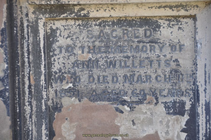 Willetts
