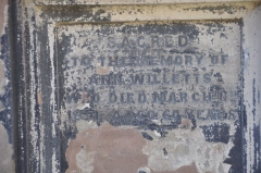 Willetts