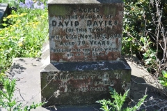 Davies