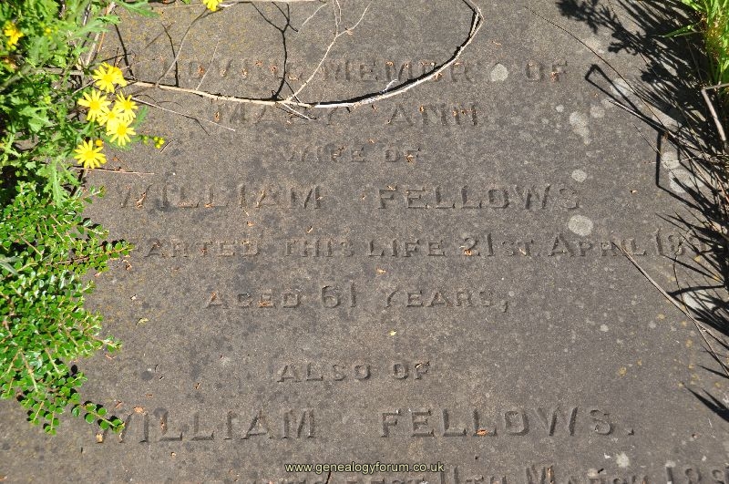 Fellows