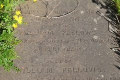 Fellows