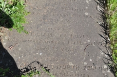 Fellows