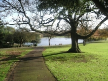 West Bromwich - Dartmouth Park