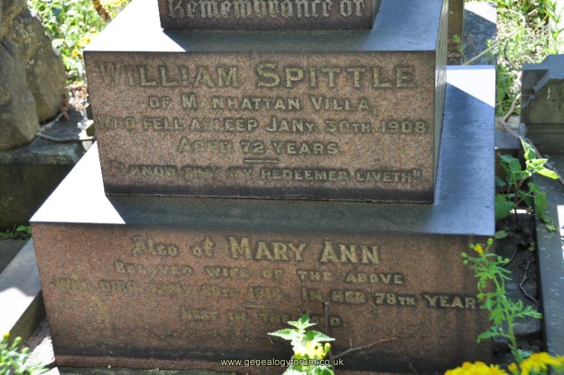Spittle