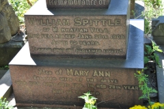 Spittle