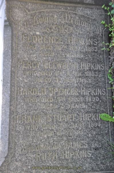 Hipkins