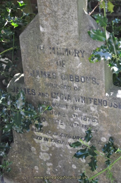 Gibbons/Whitehouse