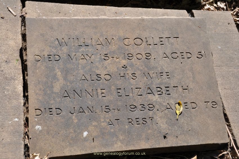 Collett