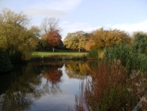 West Bromwich - Dartmouth Park  2008
