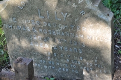 Mills