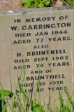 Carrington/Bruntnell