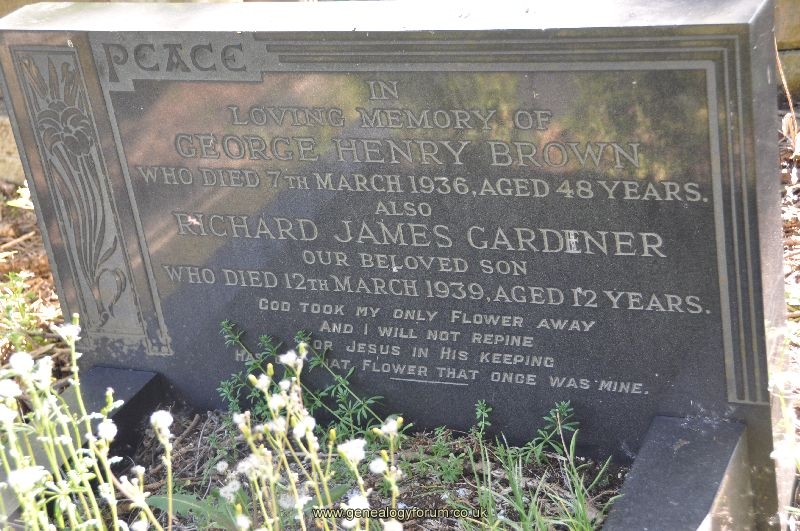 Brown/Gardener