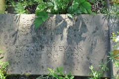 Evans