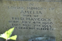 Maycock