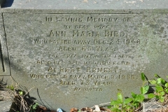 Bird - Ann, Ernest