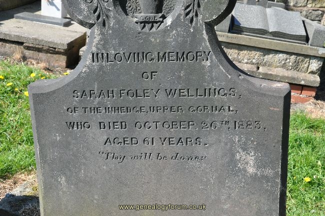 Wellings - Sarah Foley