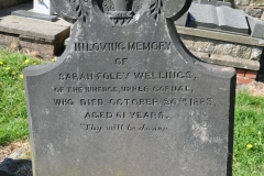 Wellings - Sarah Foley