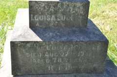 Bull 1 - Louisa