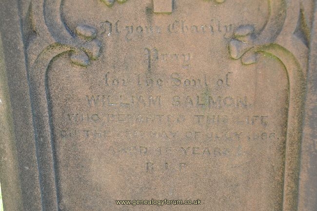 Salmon - William
