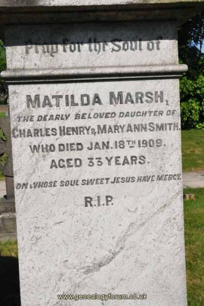 Smith 1 - Marsh