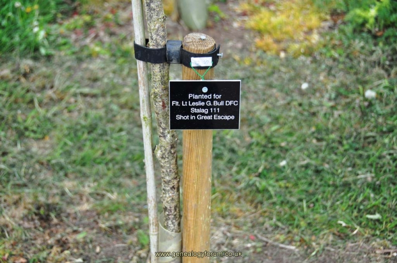 An Individual Memorial