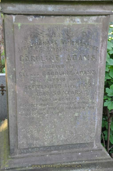 Adams 1 - Caroline