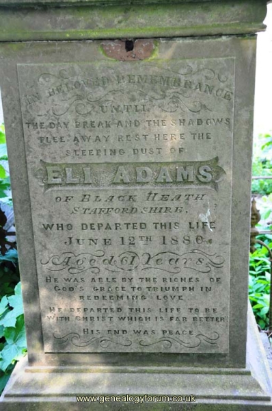 Adams 1 - Eli