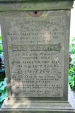 Adams 1 - Eli
