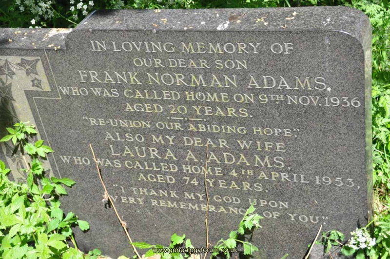 Adams - Frank, Laura