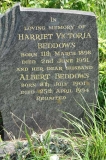 Beddows - Albert, Harriet