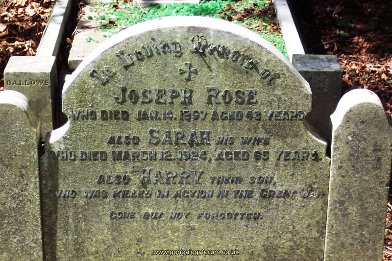 Joseph Rose
