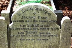 Joseph Rose