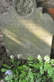 Bushell - Samuel, Nancy & son William