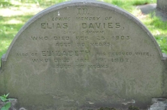 Davies 1 - Elias, Elizabeth