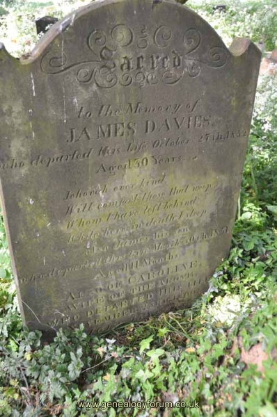Davies - James, Caroline
