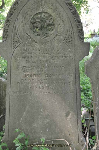 Davis - David, Mary