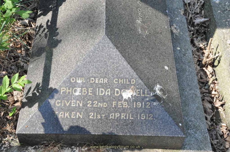 Dowell 1 - Phoebe